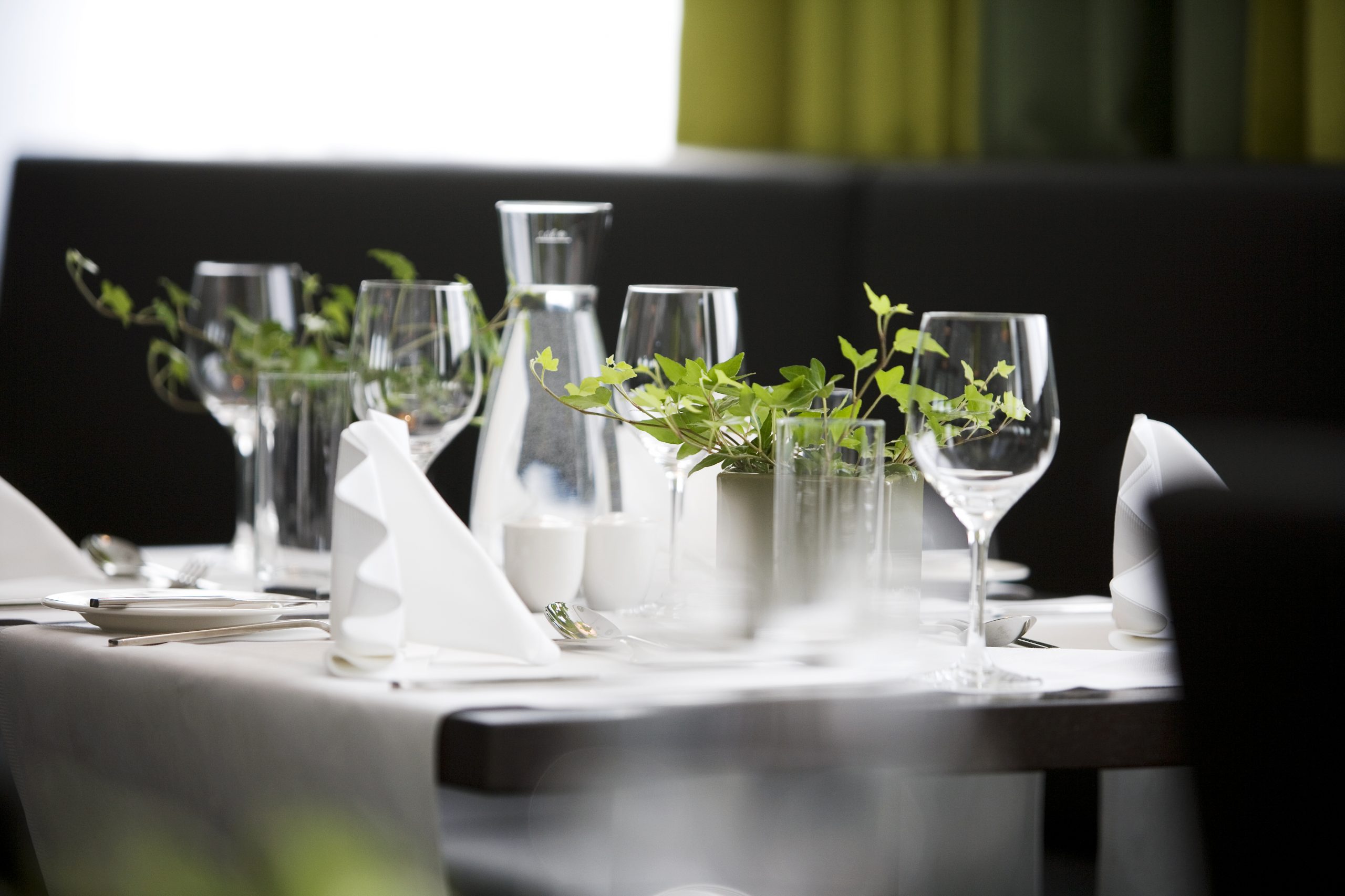 Rainers Wintergarten – Bild 2